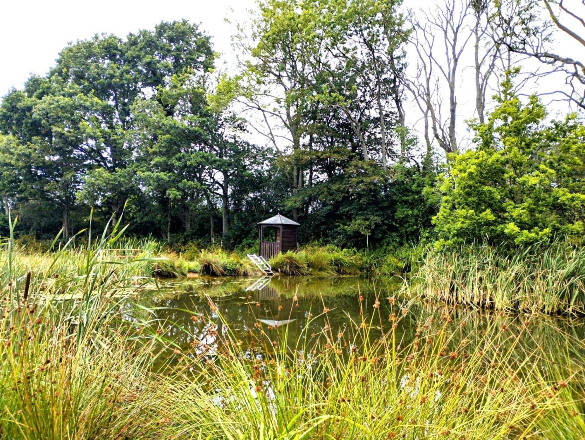 Charming Tranquil Shepherds Hut With Lakeside Balcony 'Roach' Uckfield Exterior foto